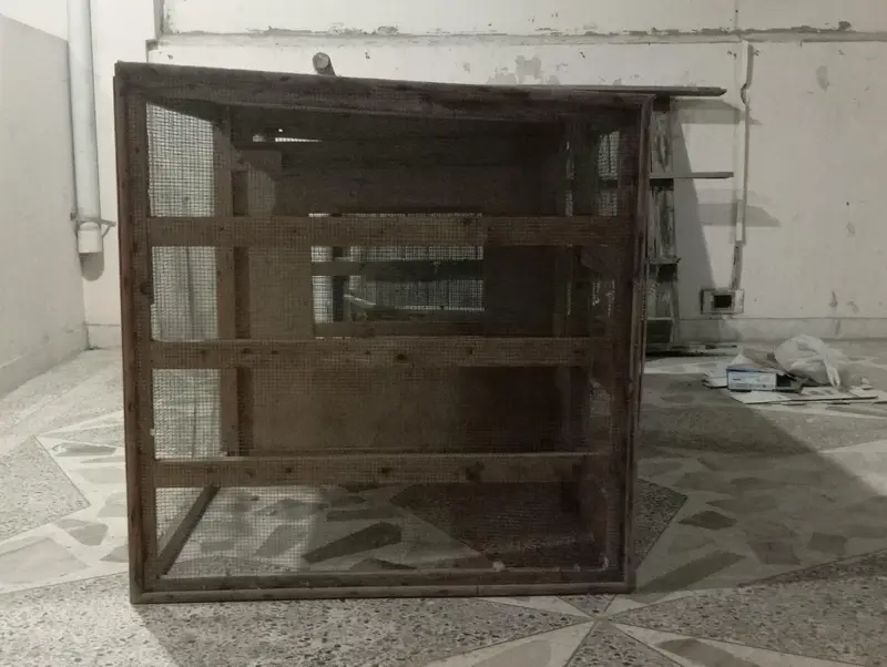 Birds & Animal Cages — photo 2