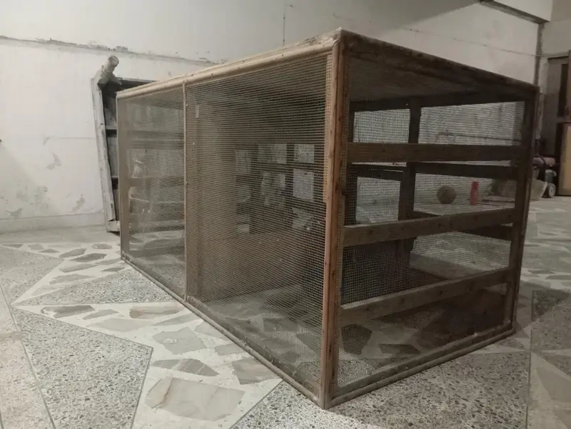Birds & Animal Cages — photo 3