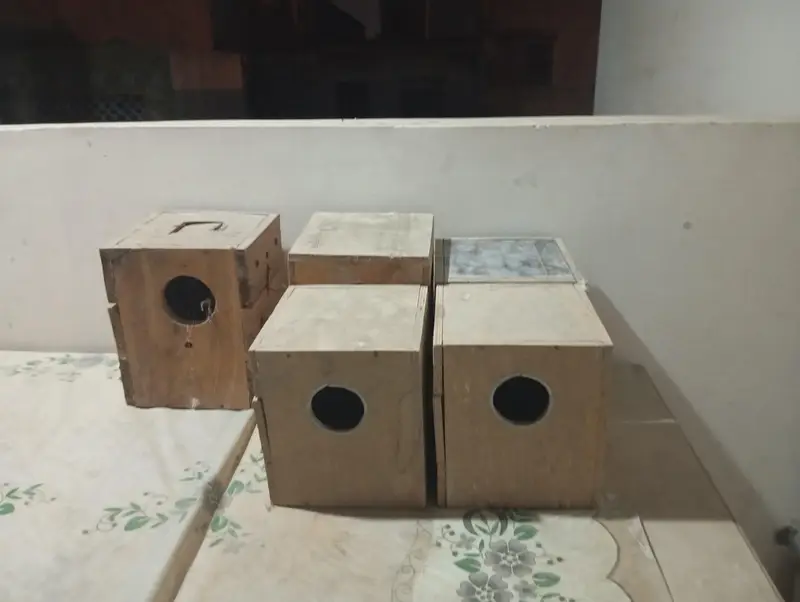Birds & Animal Cages — photo 5