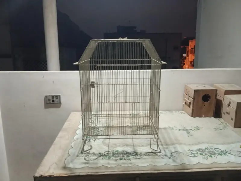 Birds & Animal Cages — photo 6
