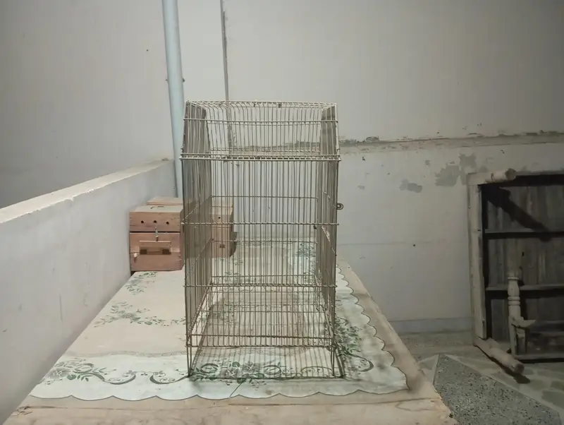 Birds & Animal Cages — photo 7