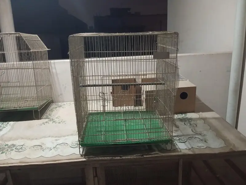 Birds & Animal Cages — photo 8