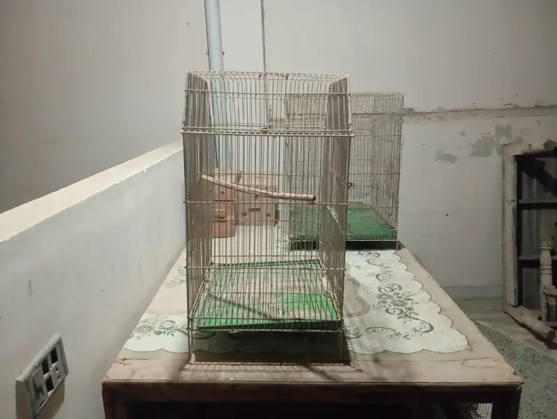 Birds & Animal Cages — photo 10