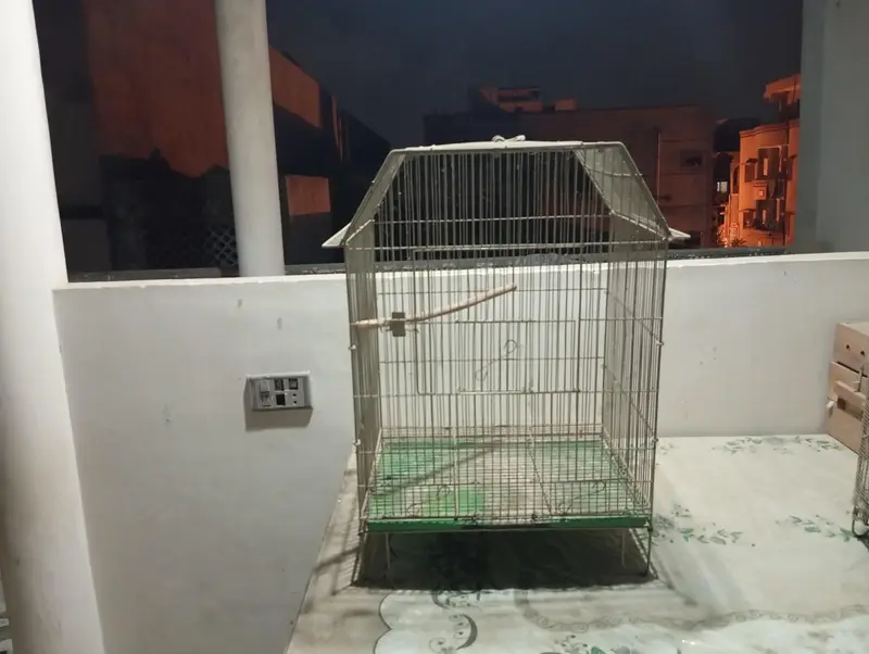 Birds & Animal Cages — photo 11