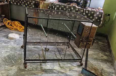 Raw Parrot Cage with Breeding Box – Full Size