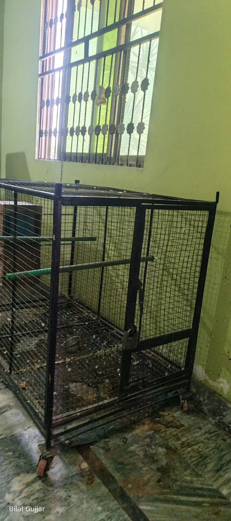 Raw Parrot Cage with Breeding Box – Full Size — photo 3