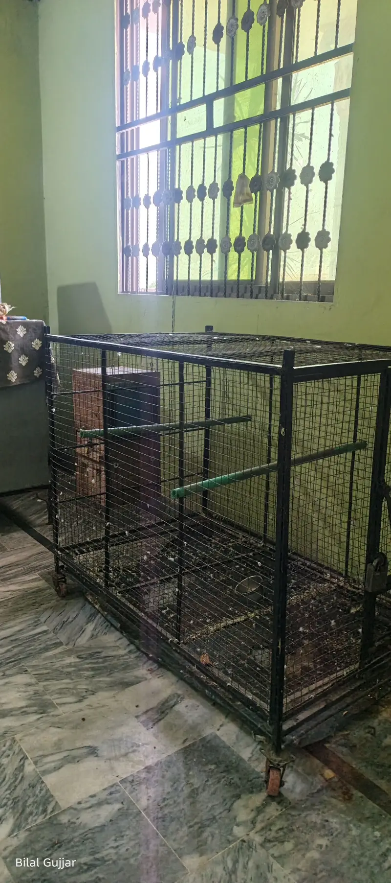Raw Parrot Cage with Breeding Box – Full Size — photo 6