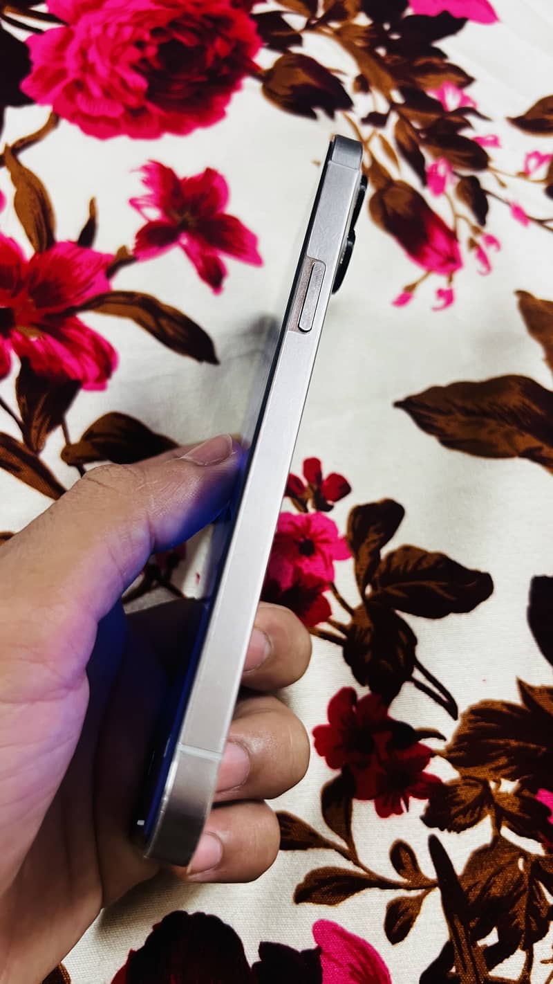 Apple iPhone 12 Pro Max 2