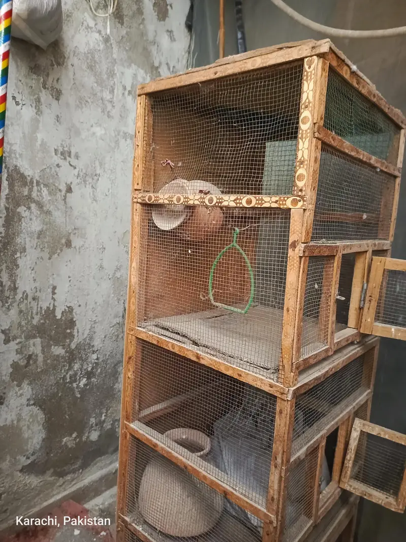 Birds Cage 3 Doors — photo 2