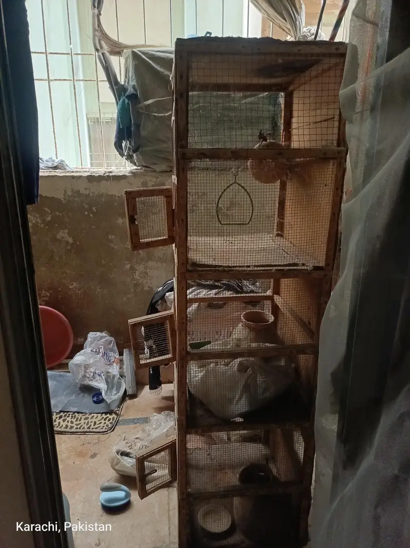 Birds Cage 3 Doors — photo 3