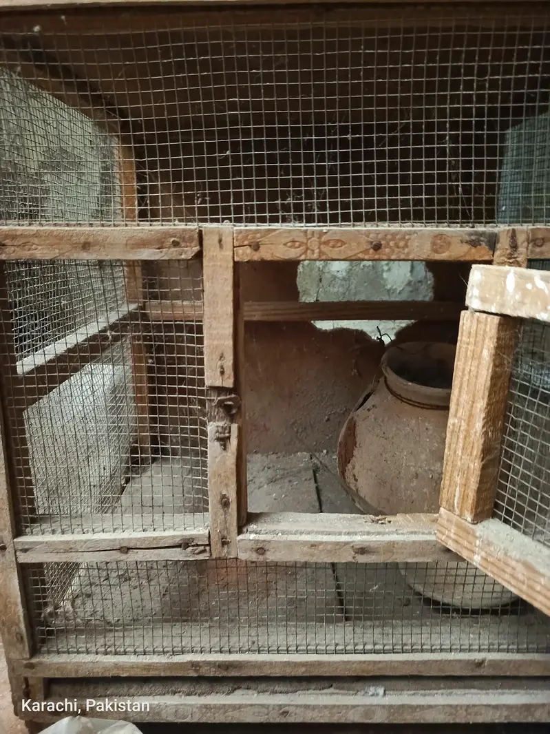 Birds Cage 3 Doors — photo 7