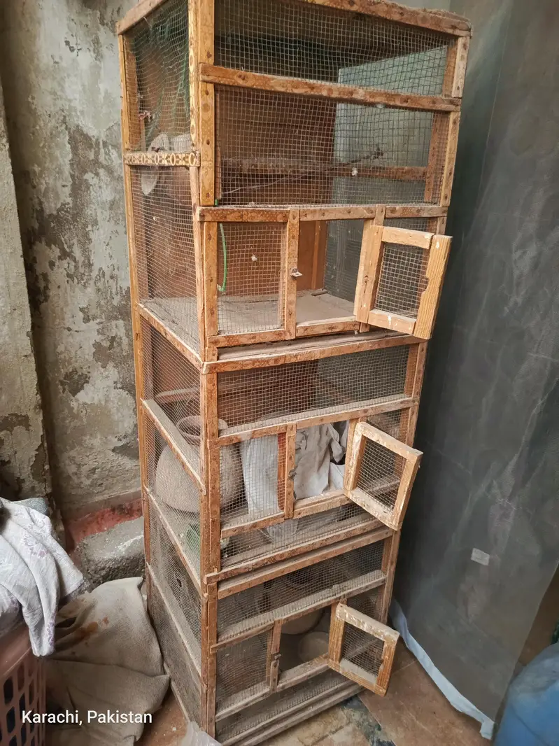 Birds Cage 3 Doors — photo 8