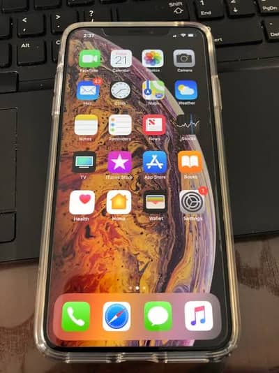 Apple iPhone X