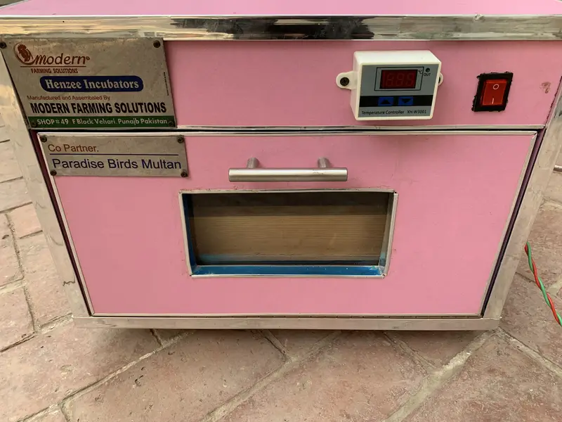 Egg Incubator for Hatching Eggs Many Eggs Capacity