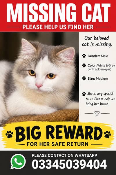 Find this cat plzz