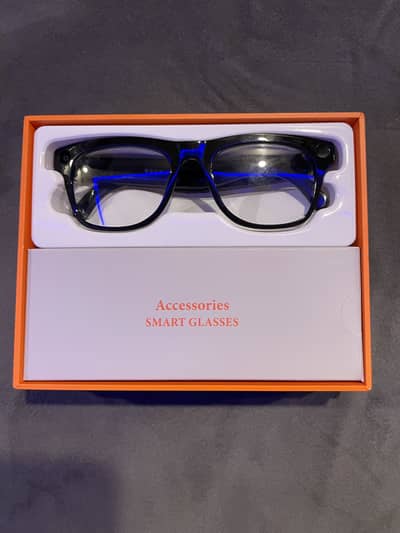 Ai meta glasses (clone)