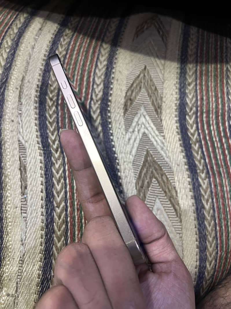 Apple iPhone 16 Pro Max 1