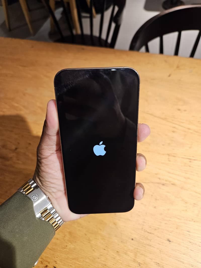 Apple iPhone 16 Pro Max 1