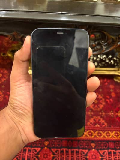 Apple iPhone 12