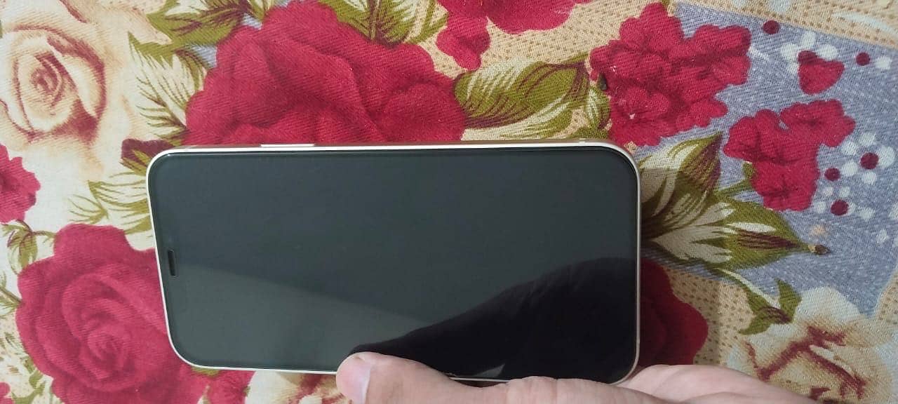 Apple iPhone 12 1