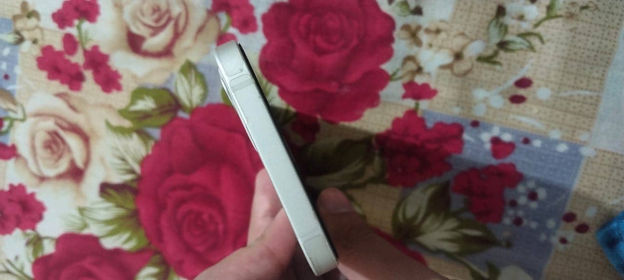 Apple iPhone 12 5