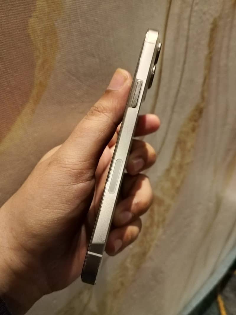 Apple iPhone 13 Pro Max 3