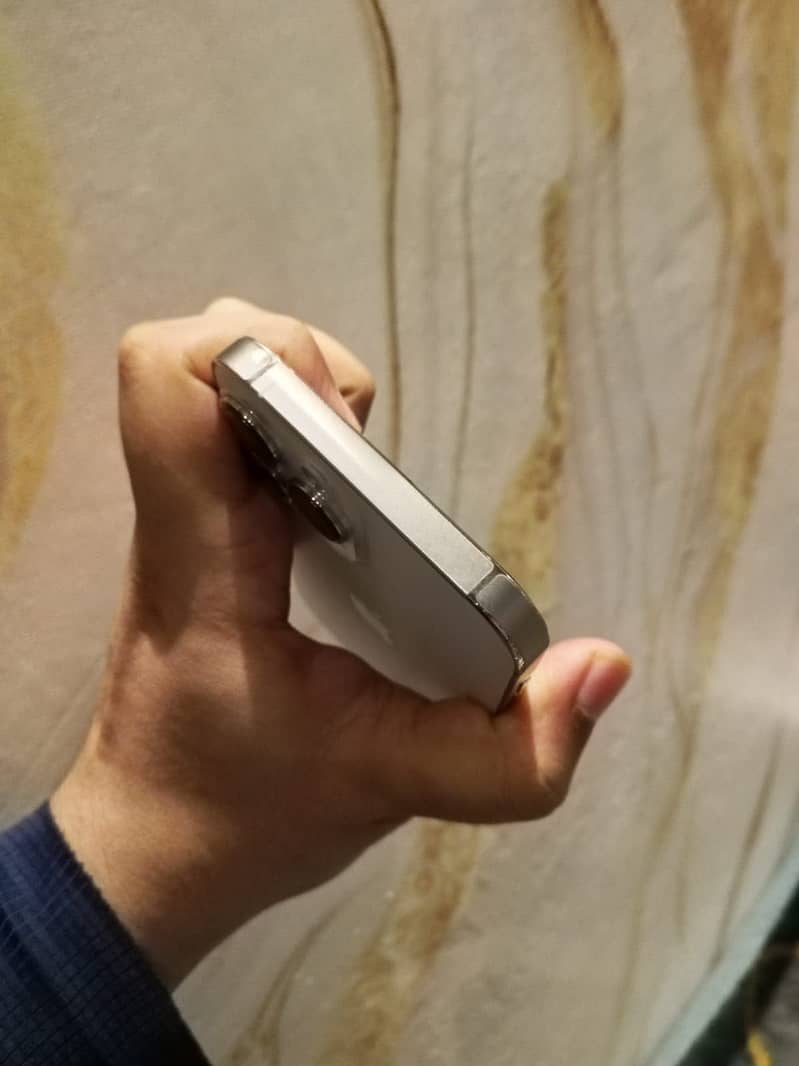 Apple iPhone 13 Pro Max 4