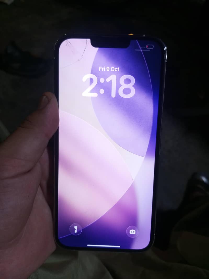 Apple iPhone 13 Pro Max 0