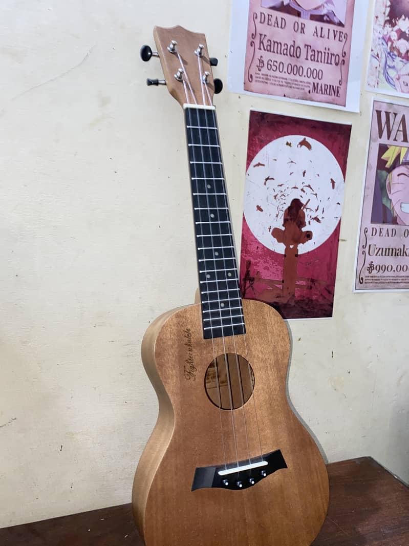 Ukelele 1