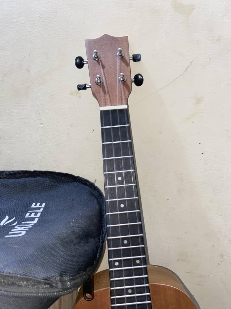 Ukelele 6