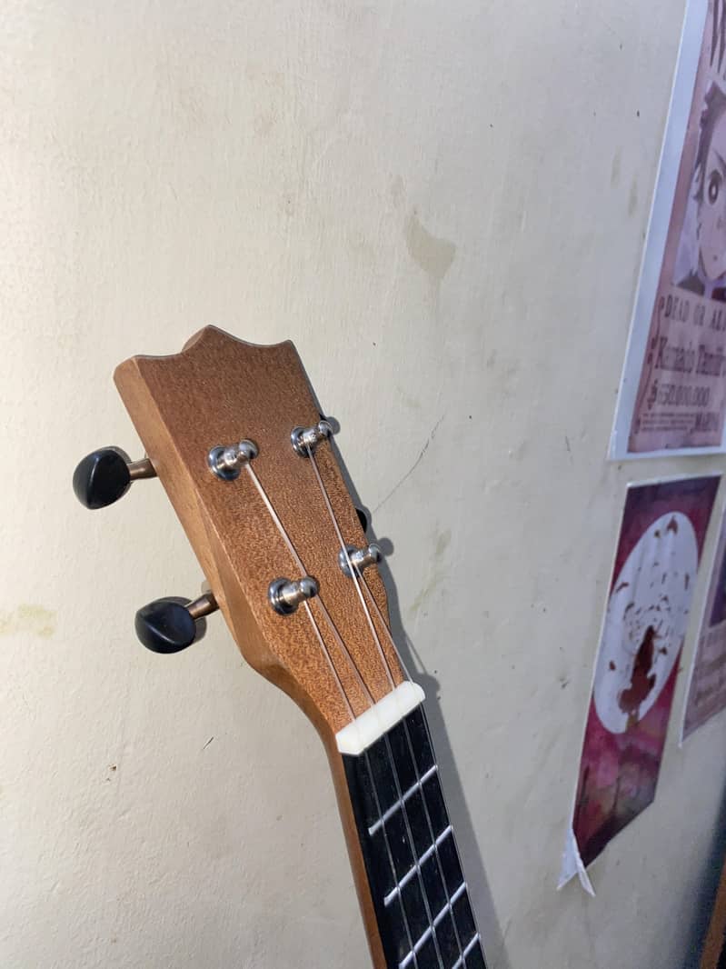 Ukelele 7
