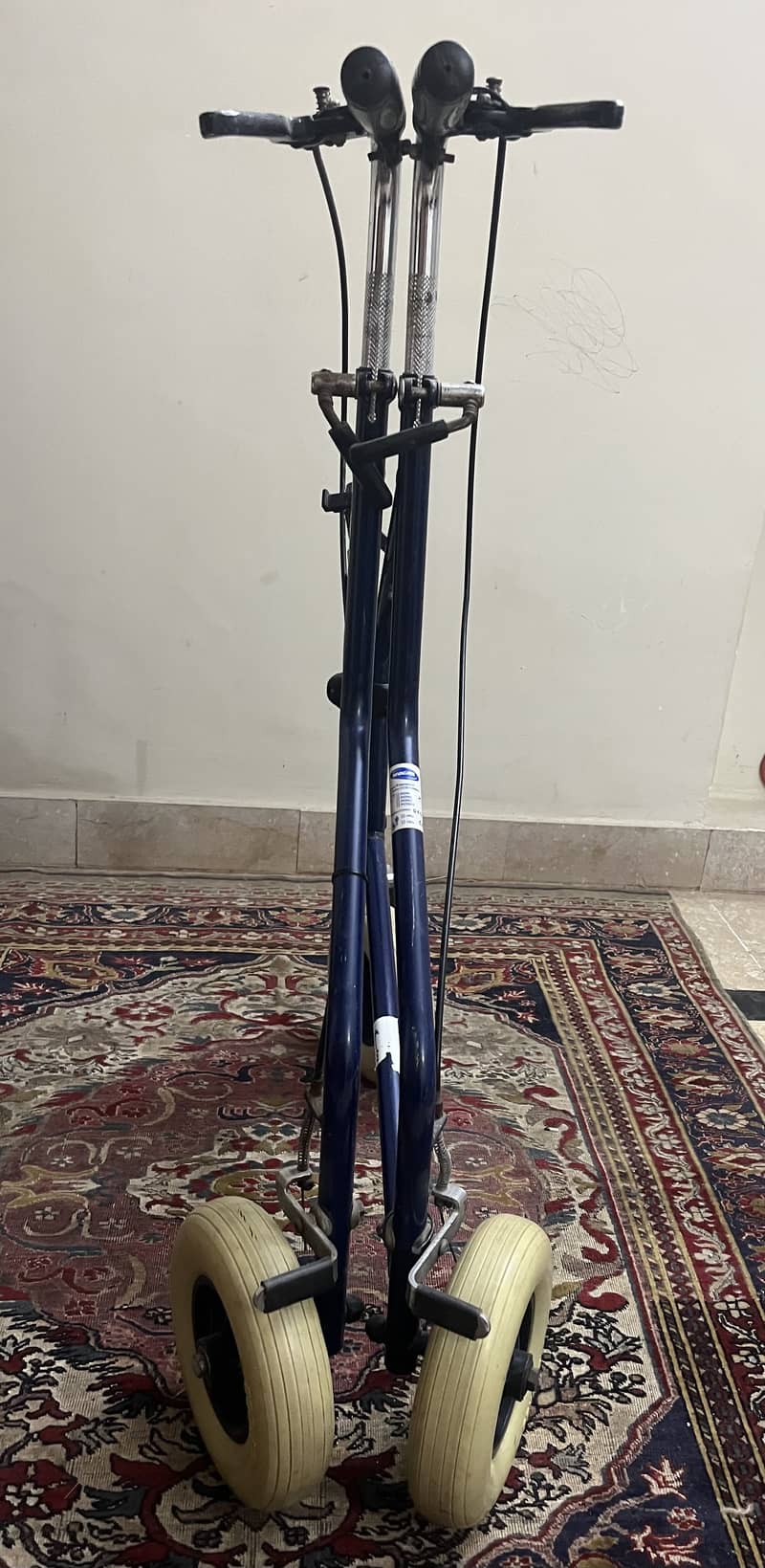 Mobility Walker for elderly persons 2