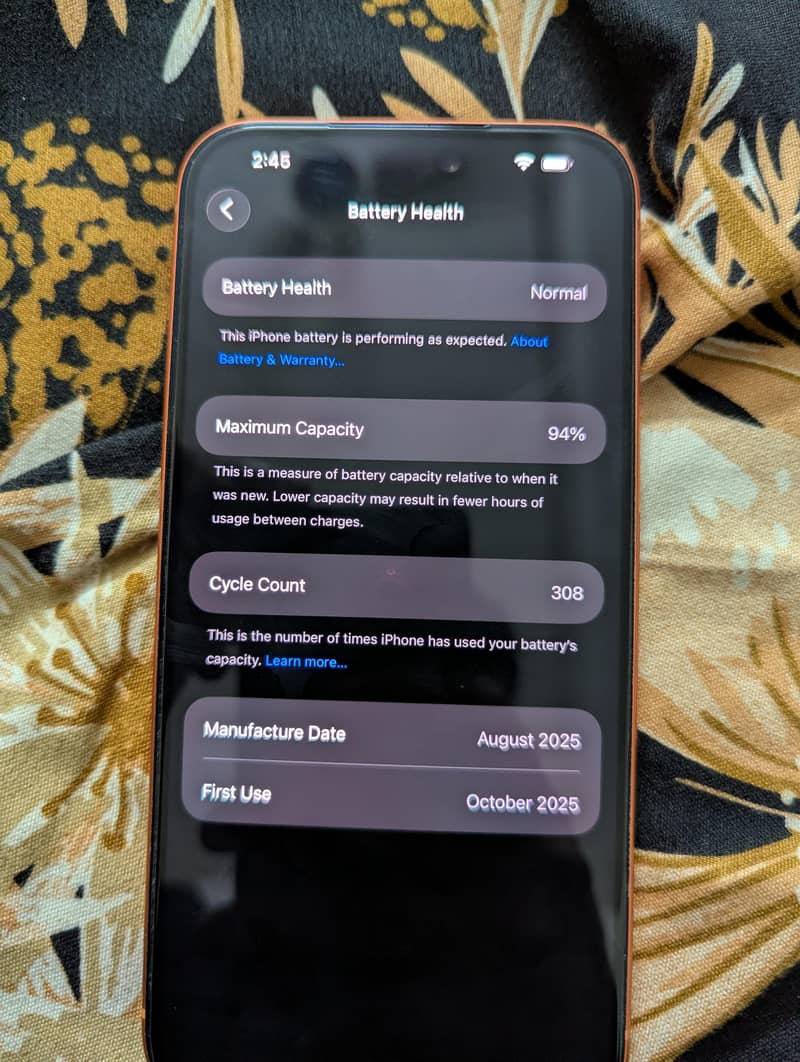 Apple iPhone 17 Pro Max 6