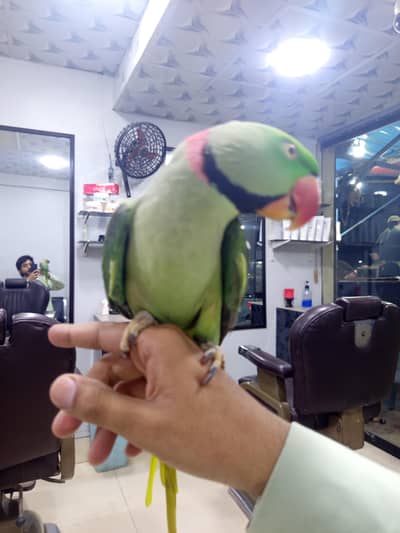 raw parit Kashmir
