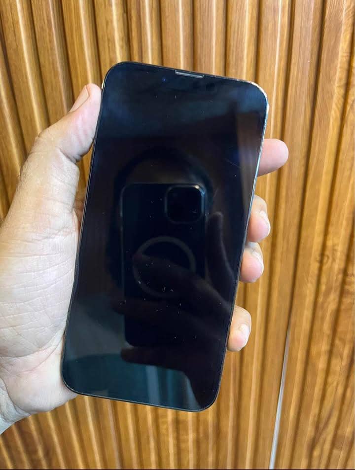 Apple iPhone 13 Pro 1
