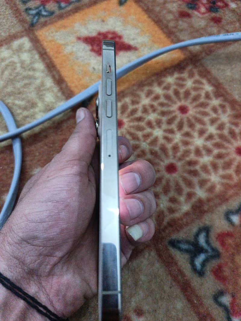 Apple iPhone 13 Pro Max 1