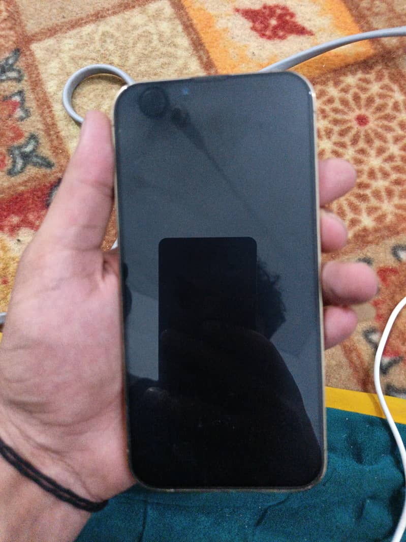 Apple iPhone 13 Pro Max 2