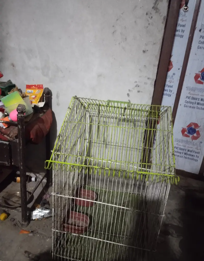Cage for Parrots and Chiks Pigeon — photo 2