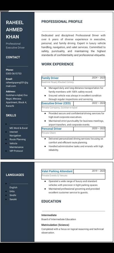 I am professional driver young educated need job