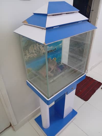 Fish aquarium for sale