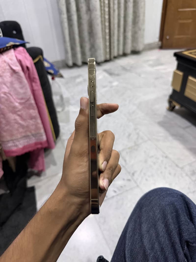 Apple iPhone 13 Pro Max 1