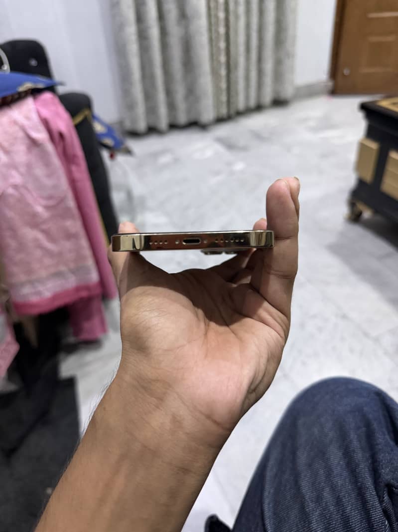 Apple iPhone 13 Pro Max 2