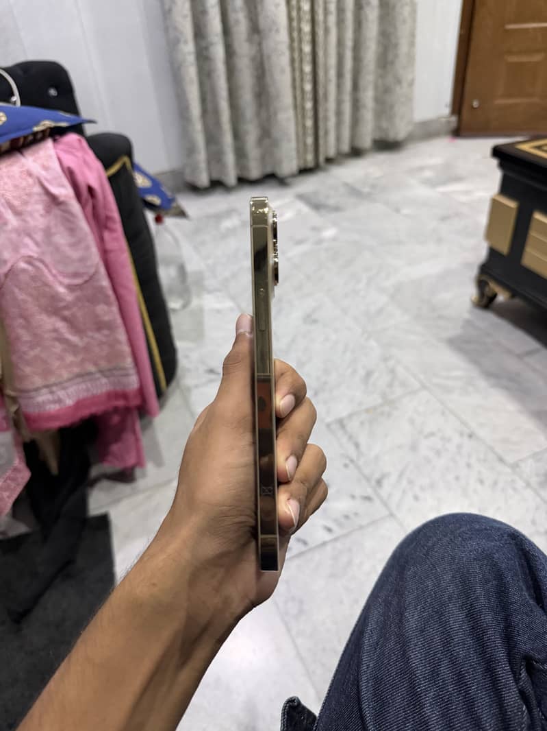 Apple iPhone 13 Pro Max 6