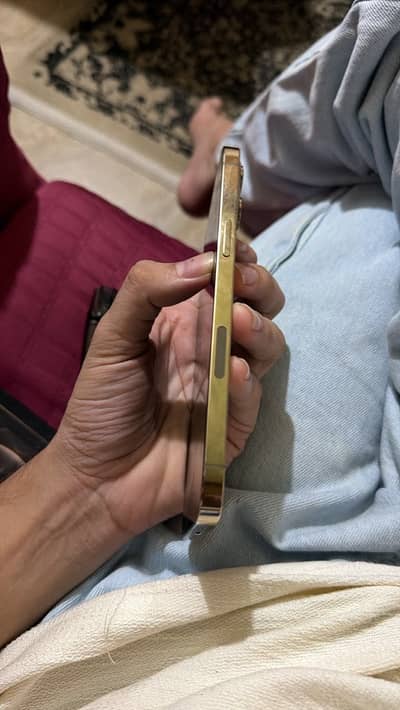 Apple iPhone 12 Pro Max