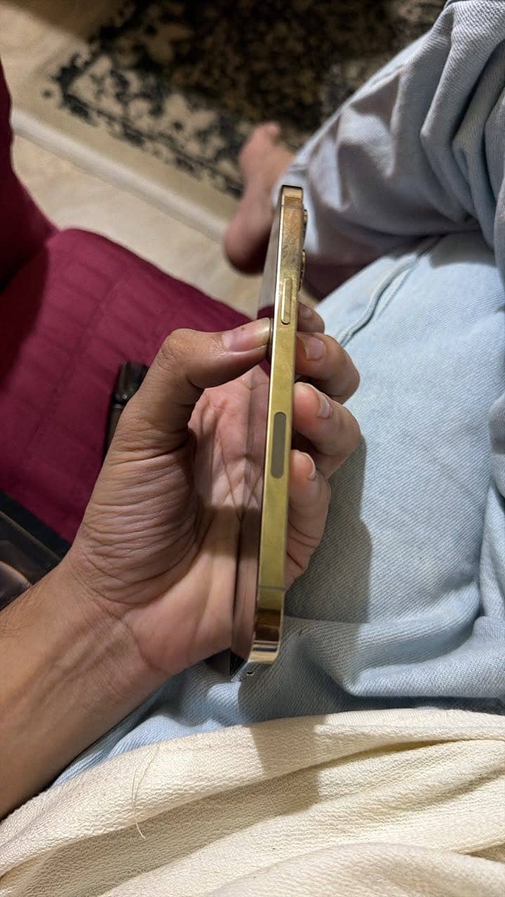Apple iPhone 12 Pro Max 0
