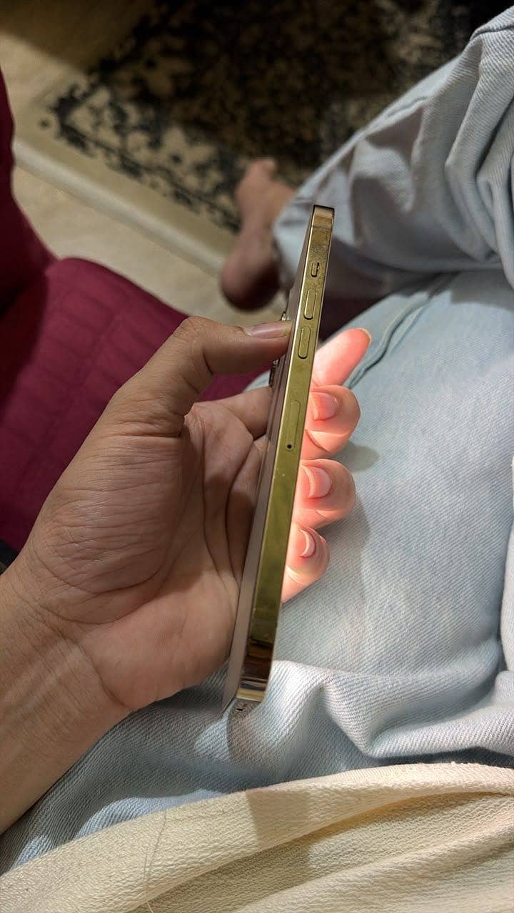 Apple iPhone 12 Pro Max 1