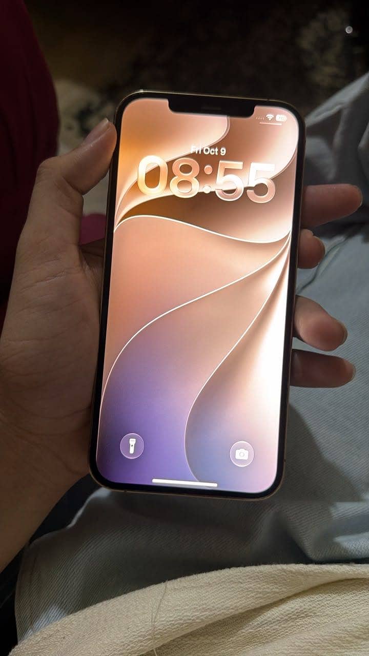 Apple iPhone 12 Pro Max 2
