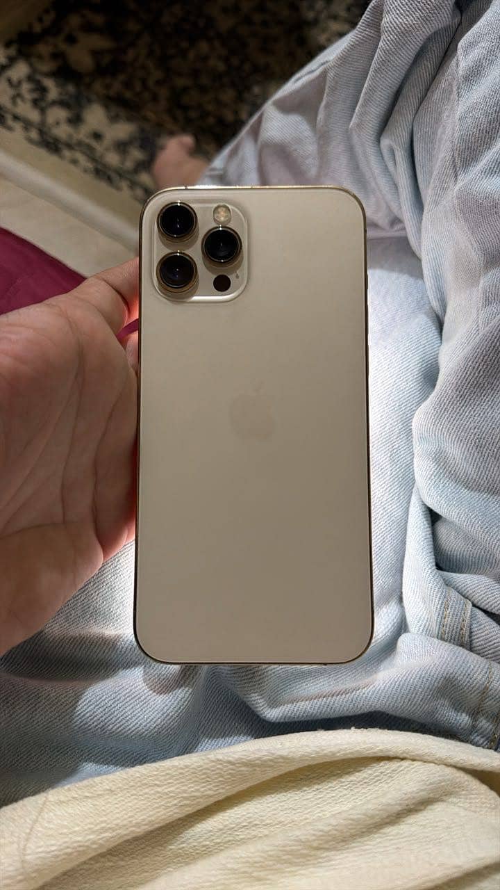 Apple iPhone 12 Pro Max 3