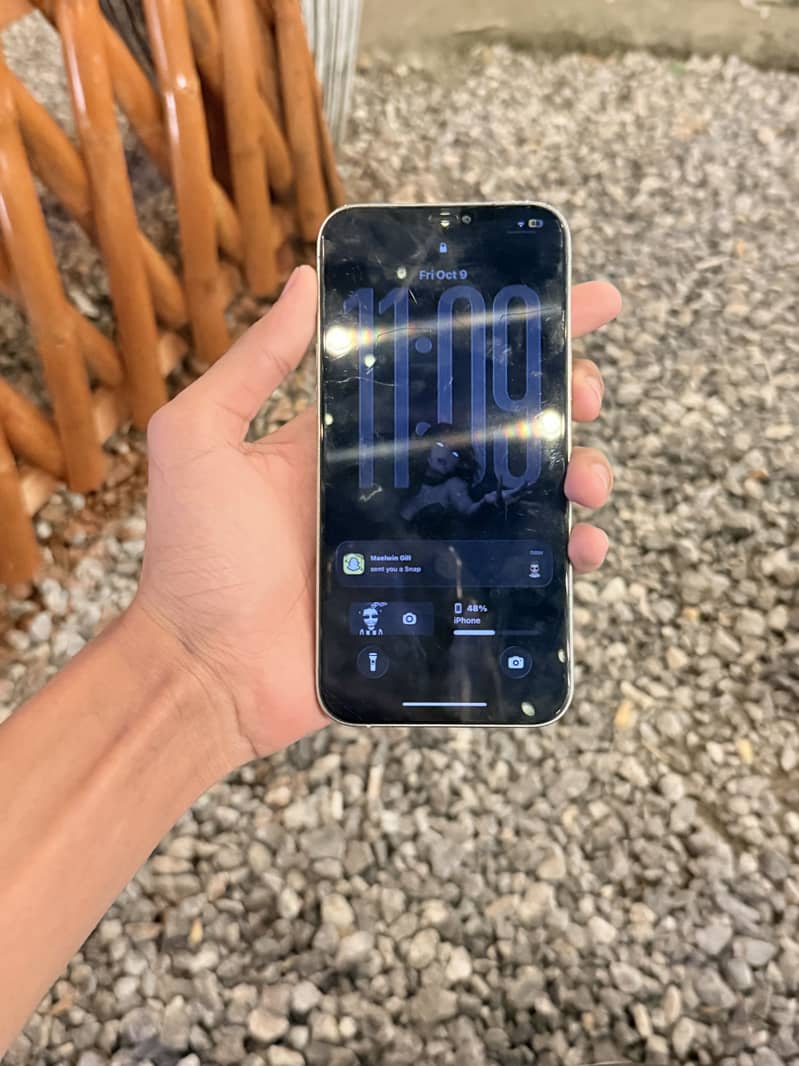 Apple iPhone 12 Pro Max 5
