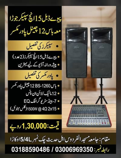 Peavey Double 15" Speakers & BOSS 12-Ch Mixer System